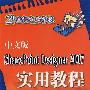 中文版SharePoint Designer 2007实用教程（21世纪电脑学校）