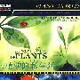 植物的私生活(6VCD)