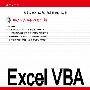 Excel VBA从入门到精通（附CD-ROM）