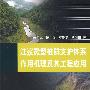 注浆微型桩群支护体系作用机理及其工程应用