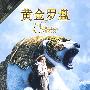 黄金罗盘（DVD）蓝光