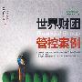世界财团管控案例