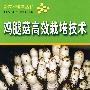 鸡腿菇高效栽培技术
