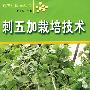 刺五加栽培技术