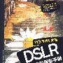 DSLR全新数码摄影手册：调色与后期处理（附光盘）