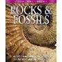 Visual Factfinder - Rocks and Fossils(Visual Factfinder)