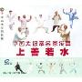 中国太极拳名家传真上善若水(VCD)