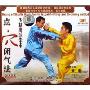 少林鹰派拳术:点穴闭气法(1VCD)