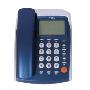 TCL  HCD868（115） 电话机（蓝色）