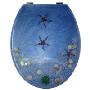 水晶透明树脂马桶盖 海蓝色海星