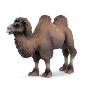 Schleich 思乐 塑胶模型骆驼S14348