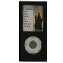 爱贝尔 iPEARL 高级甲壳虫 皮套 (黑色 适用于全线iPod nano 美丽时尚)(特价促销!)