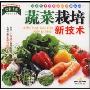 蔬菜栽培新技术(VCD)