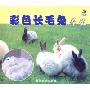 彩色长毛兔养殖(VCD)