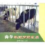 肉牛快速育肥技术(VCD)