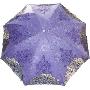 金瓯伞英伦风情两折晴雨伞Y9203 紫色