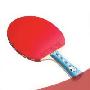 红双喜DHS五星横拍双面反胶乒乓球拍富攻击力O5002