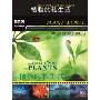 植物的私生活(6VCD)