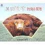 夏季肉牛的饲养管理(VCD)