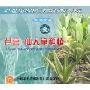 芦荟仙人掌种植(1VCD)