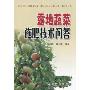 露地蔬菜施肥技术问答
