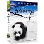 熊猫回家路(DVD9)
