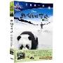 熊猫回家路(DVD9精装,送相框)