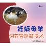 妊娠母羊饲养管理新技术(VCD)