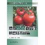 提高番茄商品性栽培技术问答(果蔬商品生产新技术丛书)