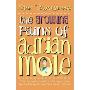 The Growing Pains of Adrian Mole