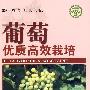 葡萄优质高效栽培—社会主义新农村建设文库