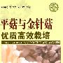 平菇与金针菇优质高效栽培—社会主义新农村建设文库