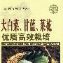 大白菜.甘蓝.菜花优质高效栽培—社会主义新农村建设文库