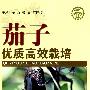 茄子优质高效栽培—社会主义新农村建设文库