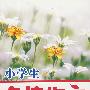 小学生名校作文一本全