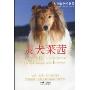 灵犬莱茜(人狗情书系)(LASSIE COME HOME Best friends are forever)