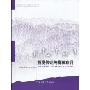 视觉传达与媒体应用(21世纪应用型本科系列教材·影视艺术类)