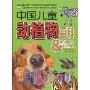 中国儿童动植物百科:哺乳家族2