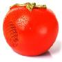 汤姆逊 THOMSON果蔬音箱FC2.0 西红柿(让你垂涎的果蔬会唱歌，够雷人吧!)