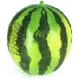 汤姆逊 THOMSON果蔬音箱XG2.0 西瓜(让你垂涎的果蔬会唱歌，够雷人吧!)