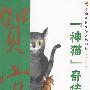 《神猫》奇传:中国儿童文学大师书系