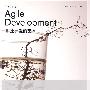 敏捷开发的艺术