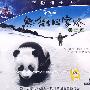 熊猫回家路（VCD）