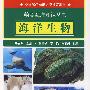 海洋生物