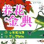 养花金典