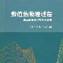 数值热物理过程 基本原理及CFD软件应用