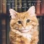 Dewey： The Small-town Library-cat Who Touched the World小猫杜威