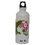 瑞士希格(SIGG）水壶美少女 600ml