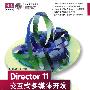 Director 11交互式多媒体开发标准教程（配光盘）（清华电脑学堂）