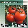 提高番茄商品性栽培技术问答